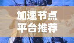 加速节点平台推荐