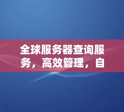 全球服务器查询服务，高效管理，自动化管理，助力企业高效运营