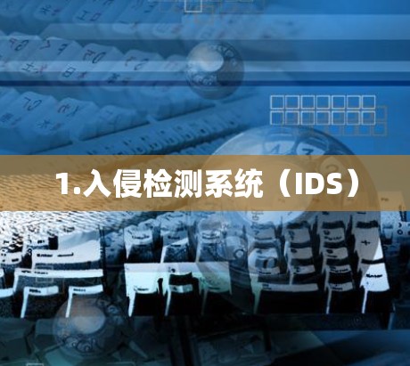 1.入侵检测系统（IDS）