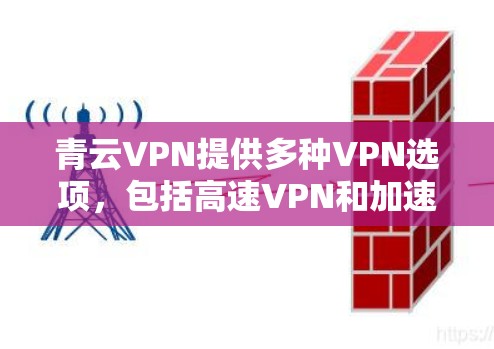 青云VPN提供多种VPN选项,包括高速VPN和加速器,帮助用户更高效地访问互联网。以下是关于如何访问青云VPN官网和下载高速VPN和加速器的具体步骤 青云VPN提供多种VPN选项,包括高速VPN和加速器,帮助用户更高效地访问互联网。以下是关于如何访问青云VPN官网和下载高速VPN和加速器的具体步骤