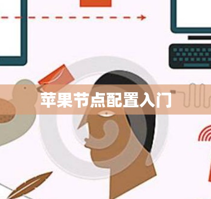 苹果节点配置入门