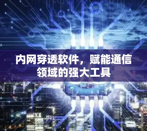 内网穿透软件，赋能通信领域的强大工具