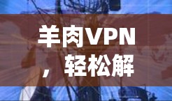 羊肉VPN，轻松解码，安全解码