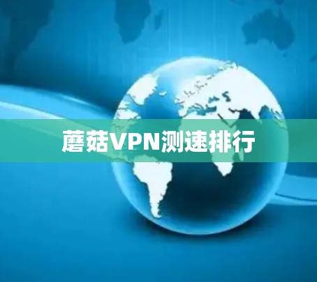 蘑菇VPN测速排行