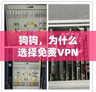 狗狗,为什么选择免费VPN下载版? 狗狗,为什么选择免费VPN下载版?