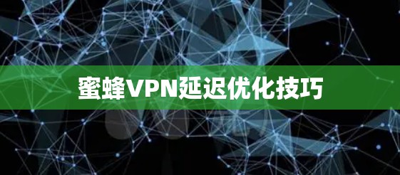 蜜蜂VPN延迟优化技巧