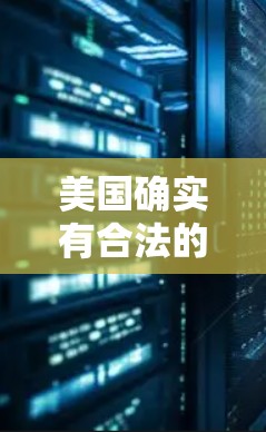 美国确实有合法的VPN服务，但同时也存在一些非法的VPN服务和网络审查政策。以下是一些相关信息