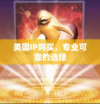 美国IP购买，专业可靠的选择