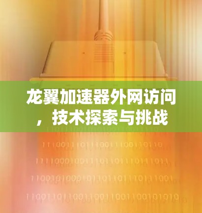 龙翼加速器外网访问,技术探索与挑战 龙翼加速器外网访问,技术探索与挑战