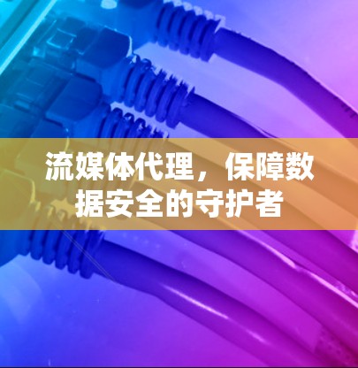 流媒体代理，保障数据安全的守护者