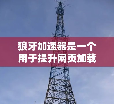 狼牙加速器是一个用于提升网页加载速度的工具，通常在手机或电脑上使用。如果您想在移动端使用狼牙加速器，以下是一些可能的步骤和建议
