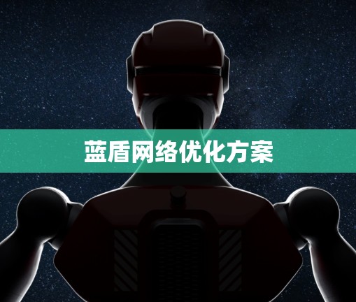 蓝盾网络优化方案