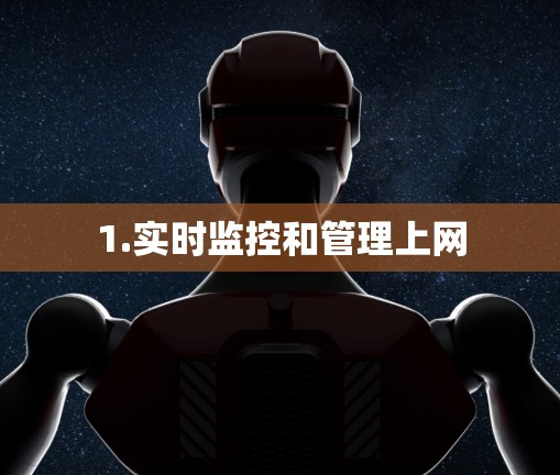 1.实时监控和管理上网
