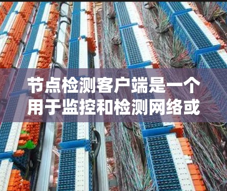 节点检测客户端是一个用于监控和检测网络或系统节点数据的客户端程序。它通常用于企业级网络环境，支持多个节点类型，如服务器、服务器节点、数据节点等。以下是它的主要功能和应用