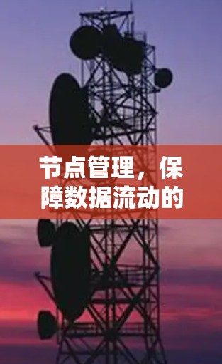 节点管理，保障数据流动的关键环节