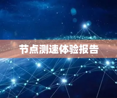 节点测速体验报告