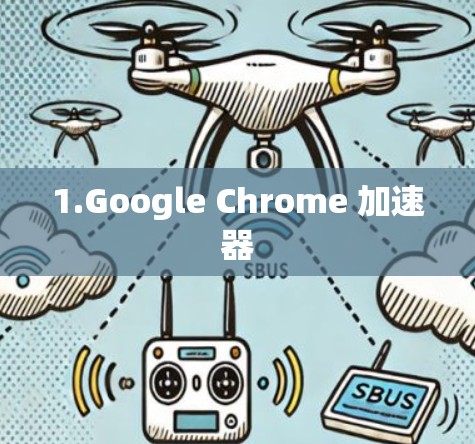 1.Google Chrome 加速器 1.Google Chrome 加速器