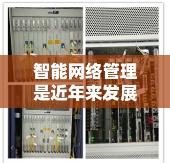 智能网络管理是近年来发展迅速的网络技术领域，旨在通过自动化和智能化手段优化网络流量和资源分配，以提升网络性能和稳定性。以下是对智能网络管理的详细总结