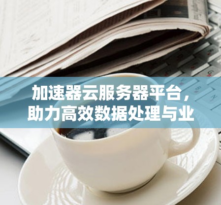 加速器云服务器平台，助力高效数据处理与业务优化