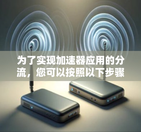 为了实现加速器应用的分流，您可以按照以下步骤操作