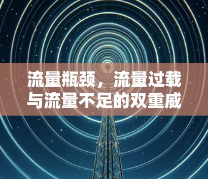 流量瓶颈，流量过载与流量不足的双重威胁