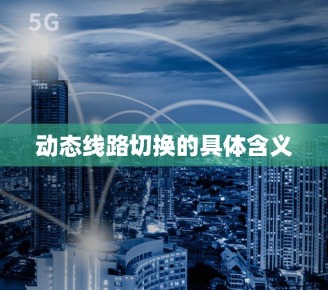 动态线路切换的具体含义 动态线路切换的具体含义
