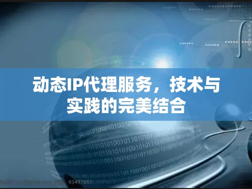动态IP代理服务,技术与实践的完美结合 动态IP代理服务,技术与实践的完美结合