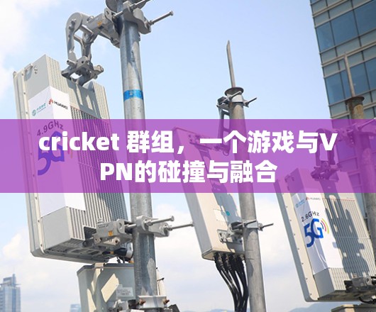 cricket 群组，一个游戏与VPN的碰撞与融合