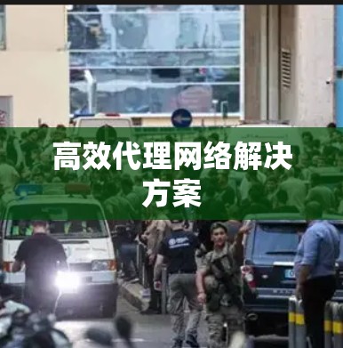 高效代理网络解决方案